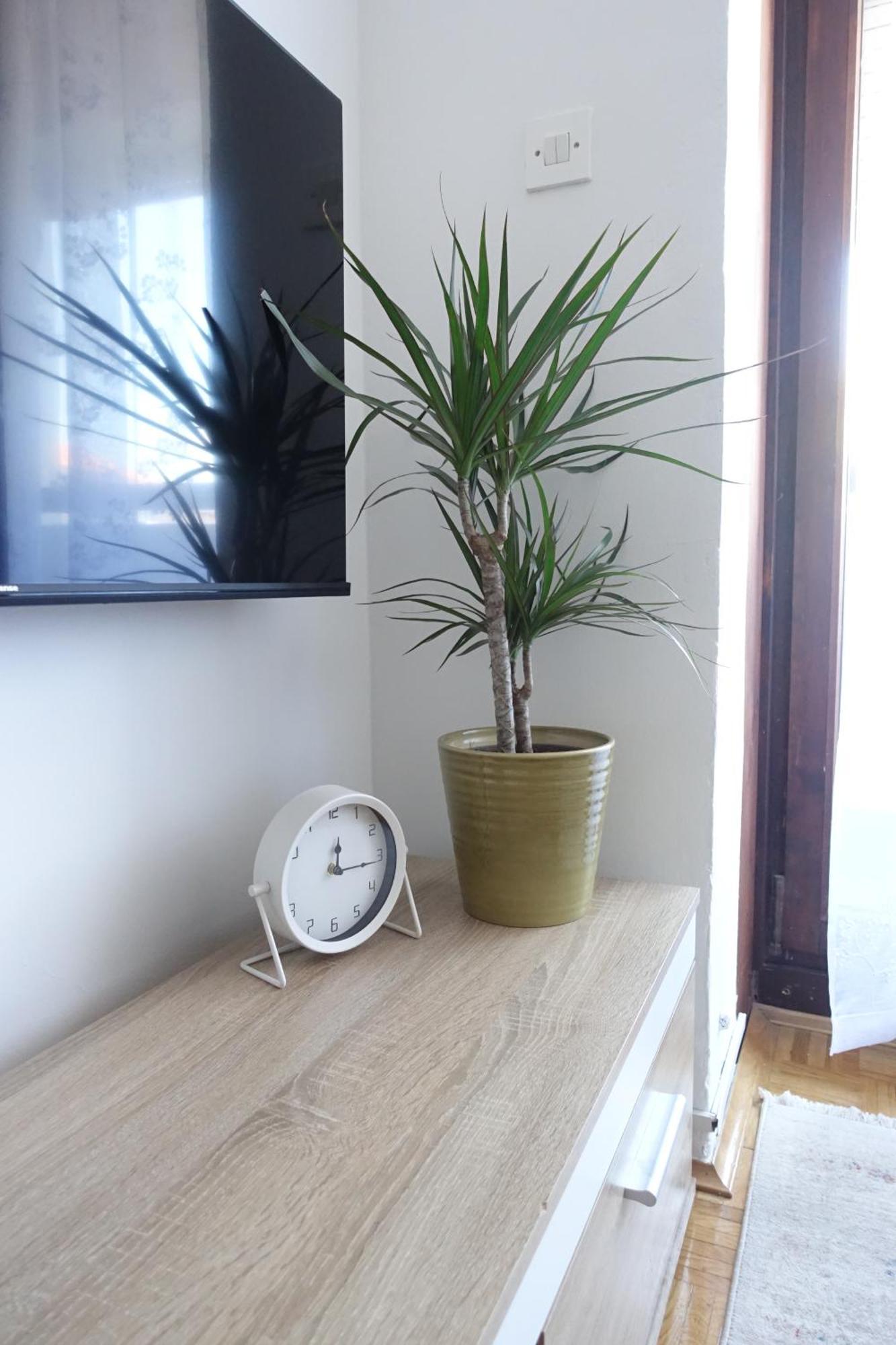 Apartman Tamara ซาดาร์ ภายนอก รูปภาพ